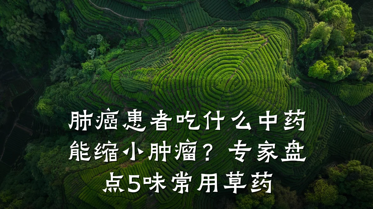 肺癌患者吃什么中药能缩小肿瘤?专家盘点5味常用草药
