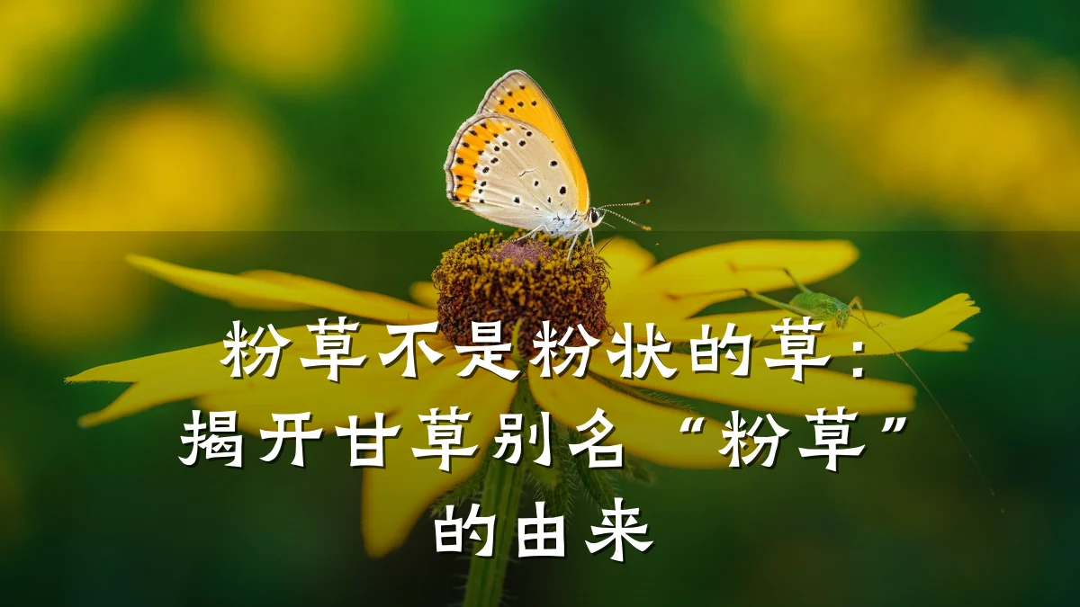 粉草不是粉状的草:揭开甘草别名“粉草”的由来