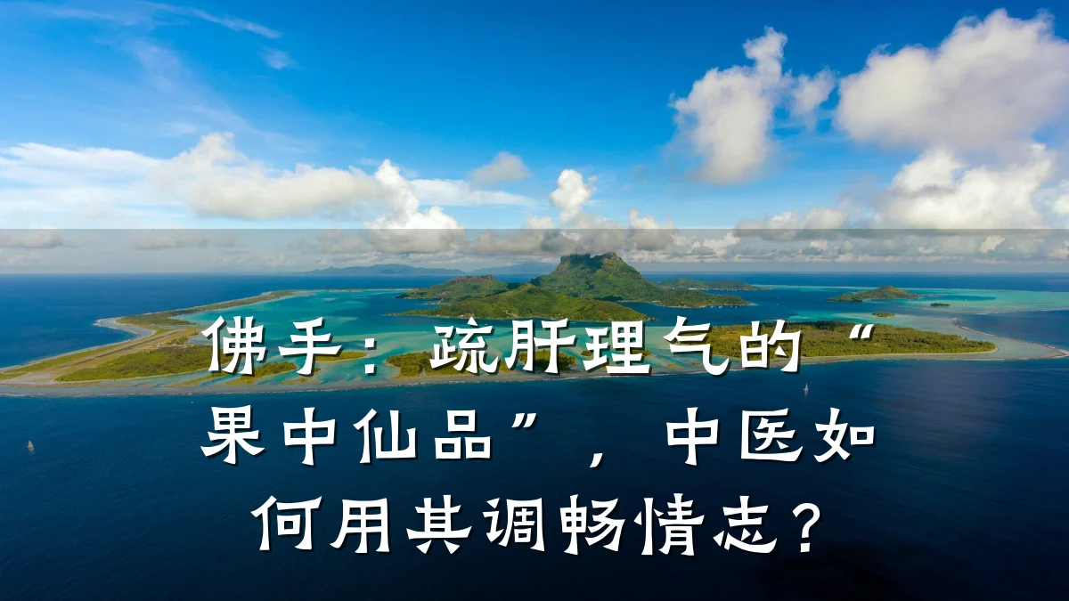 佛手:疏肝理气的“果中仙品”,中医如何用其调畅情志?