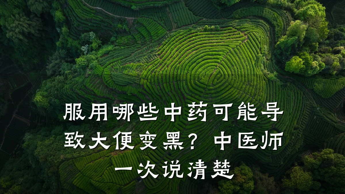 服用哪些中药可能导致大便变黑?中医师一次说清楚