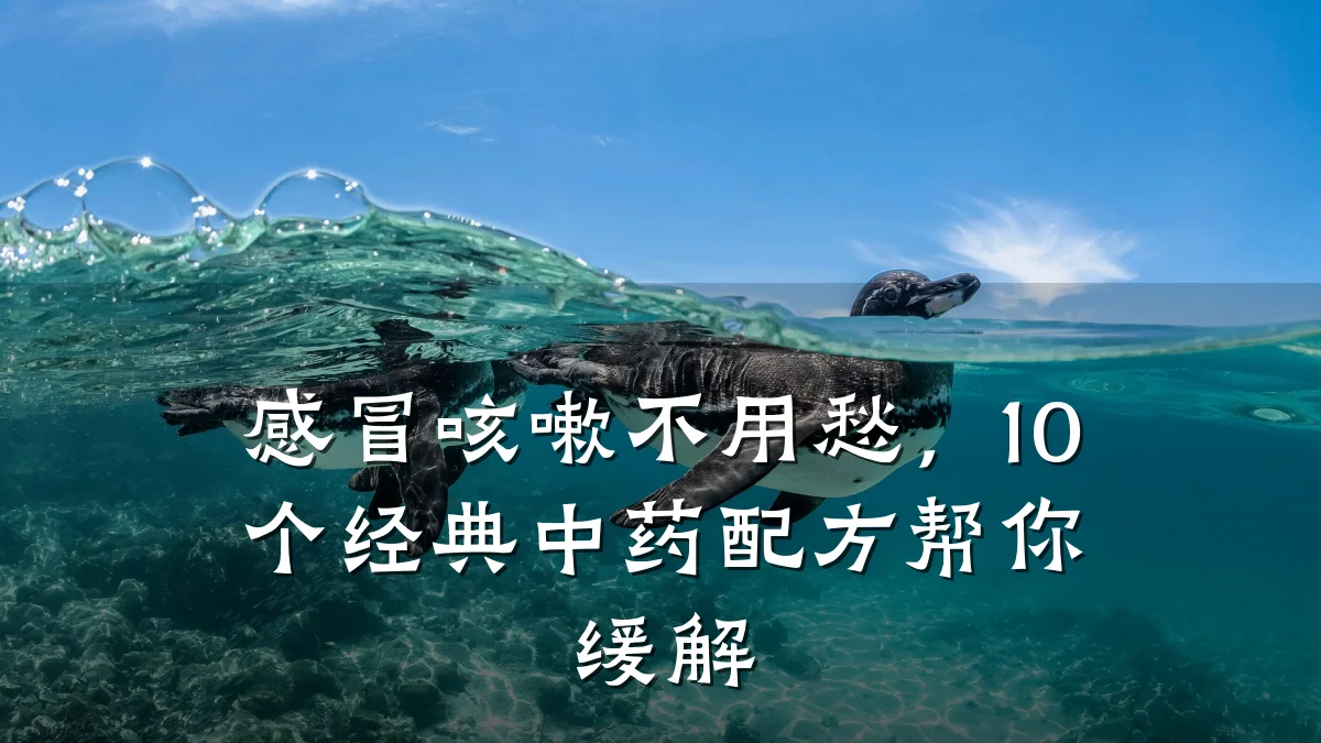 感冒咳嗽不用愁,10个经典中药配方帮你缓解