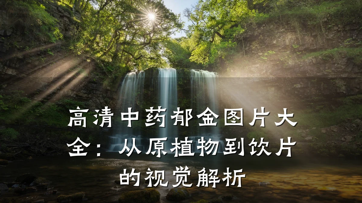 高清中药郁金图片大全：从原植物到饮片的视觉解析