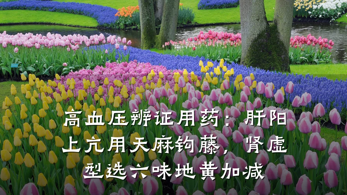 高血压辨证用药：肝阳上亢用天麻钩藤，肾虚型选六味地黄加减