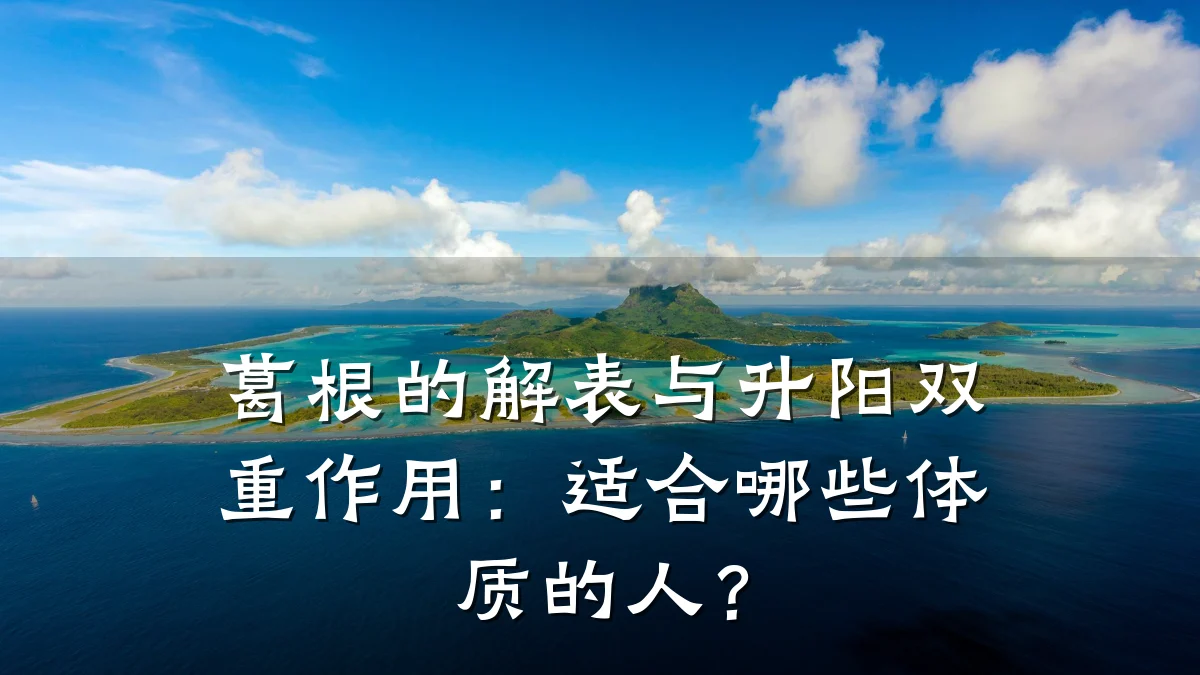 葛根的解表与升阳双重作用:适合哪些体质的人?