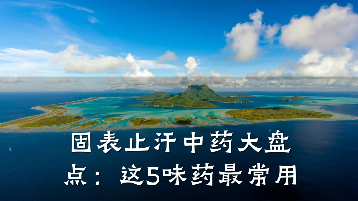 固表止汗中药大盘点:这5味药最常用