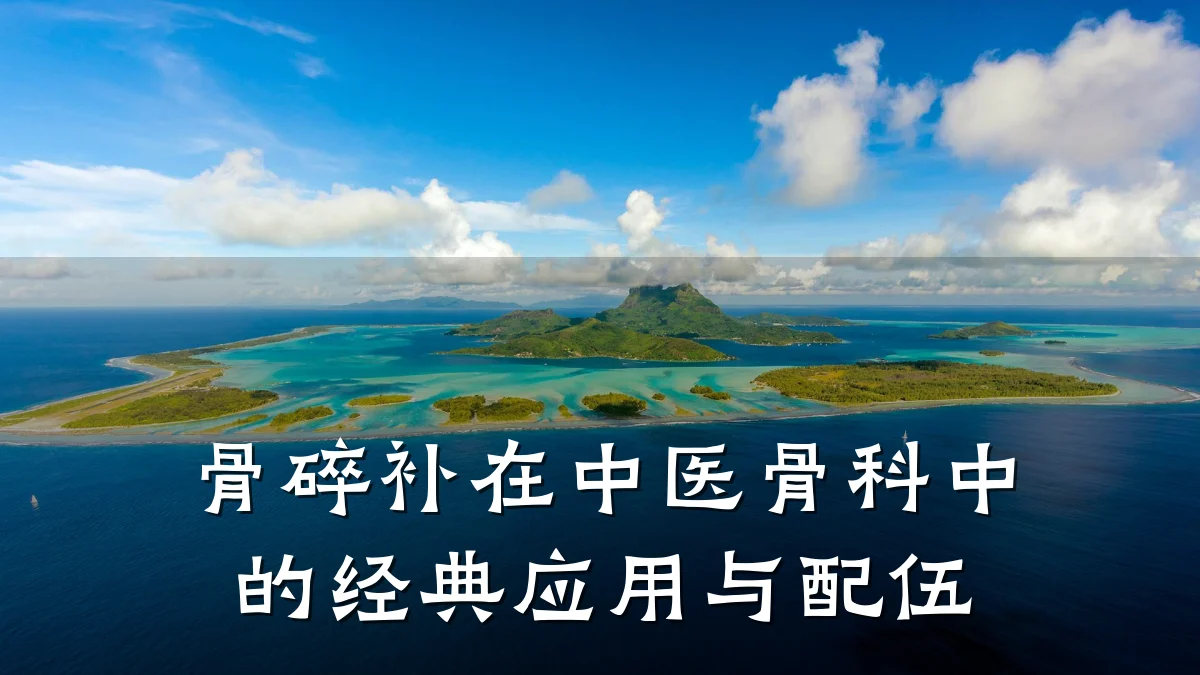 骨碎补在中医骨科中的经典应用与配伍