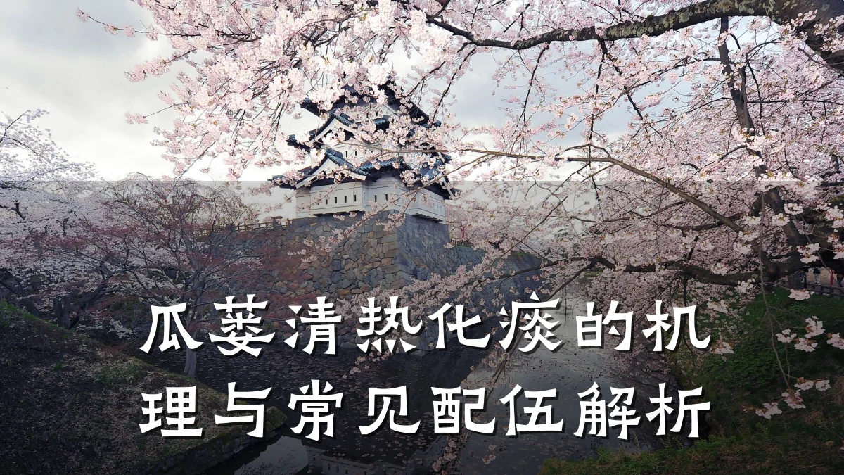 瓜蒌清热化痰的机理与常见配伍解析