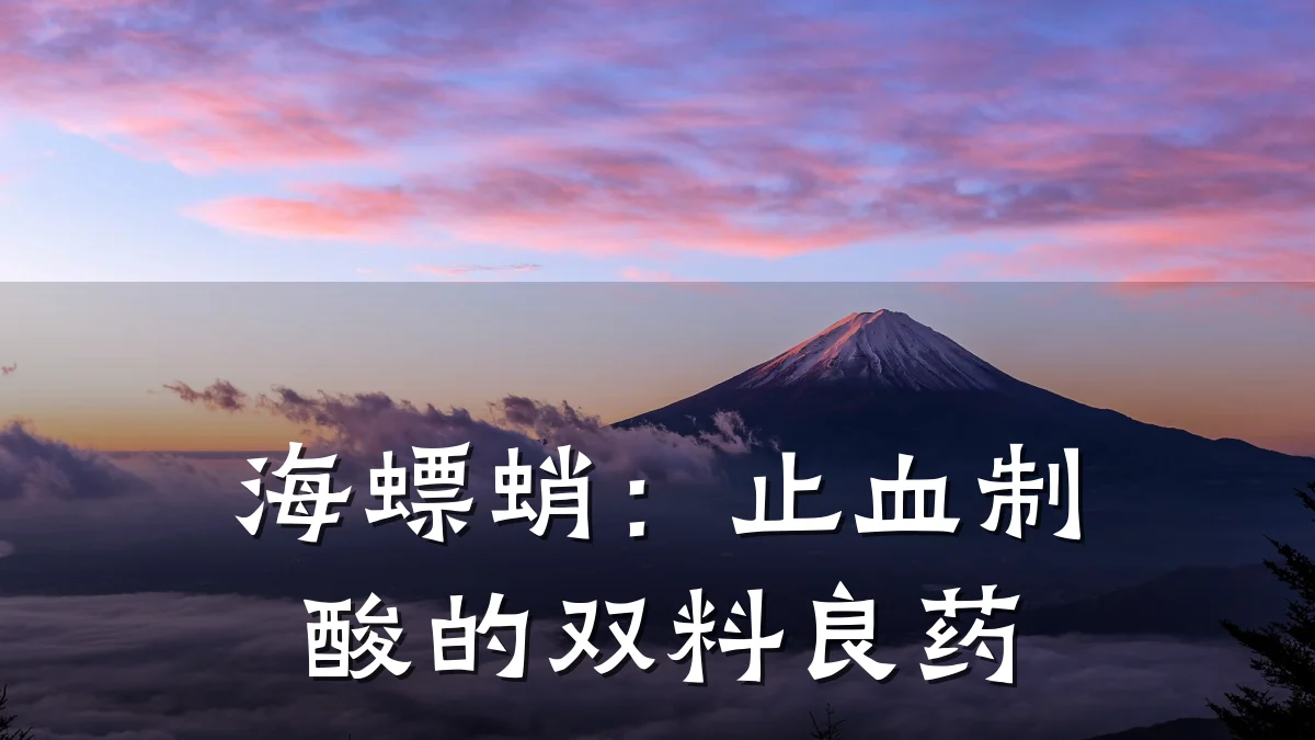 海螵蛸：止血制酸的双料良药