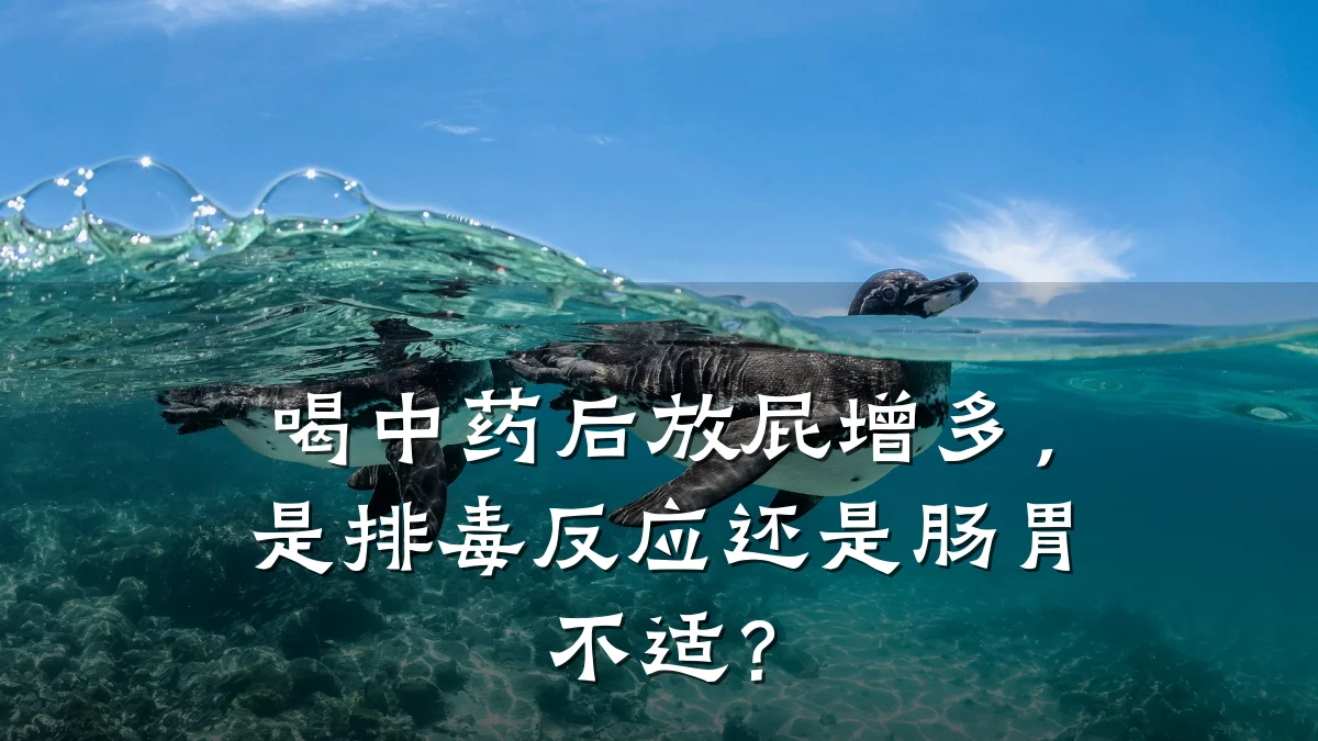 喝中药后放屁增多,是排毒反应还是肠胃不适?