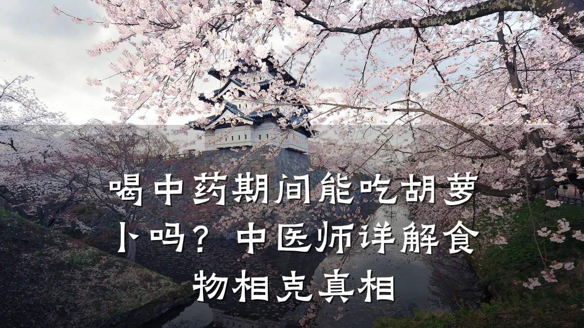 喝中药期间能吃胡萝卜吗?中医师详解食物相克真相