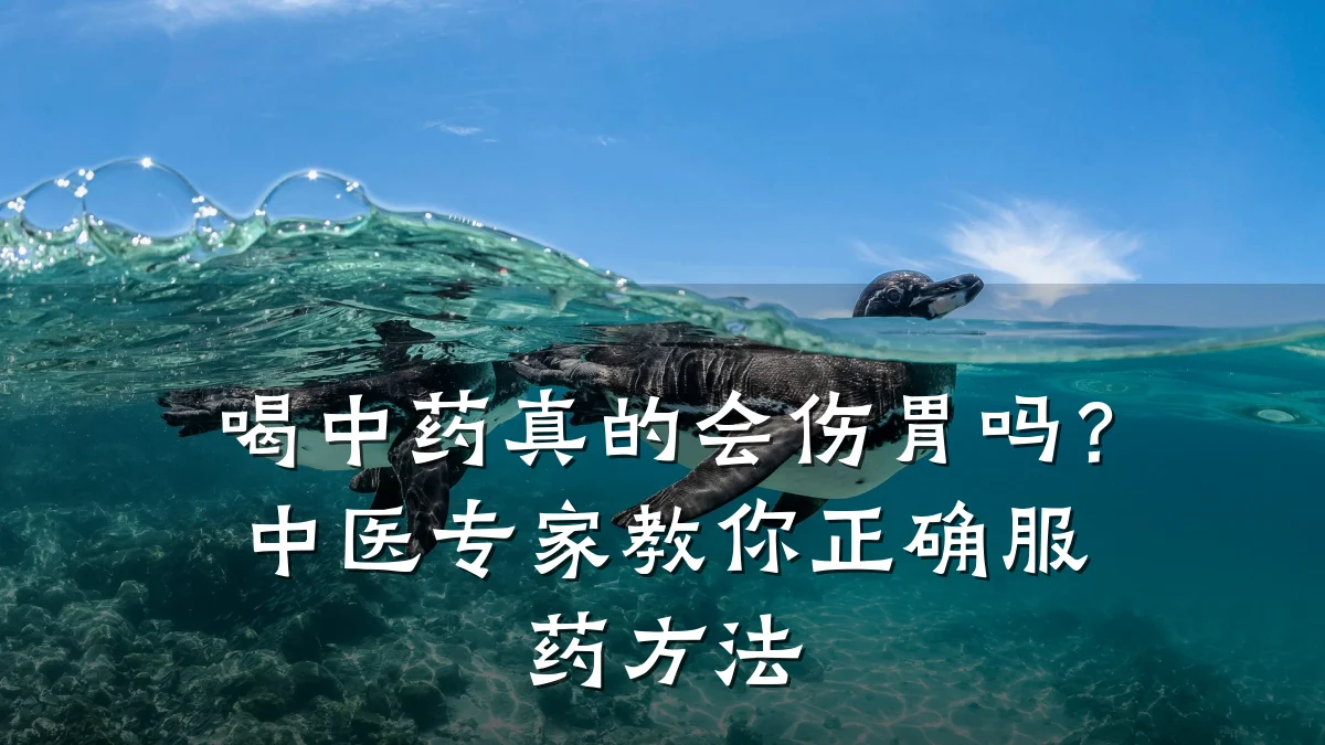 喝中药真的会伤胃吗？中医专家教你正确服药方法