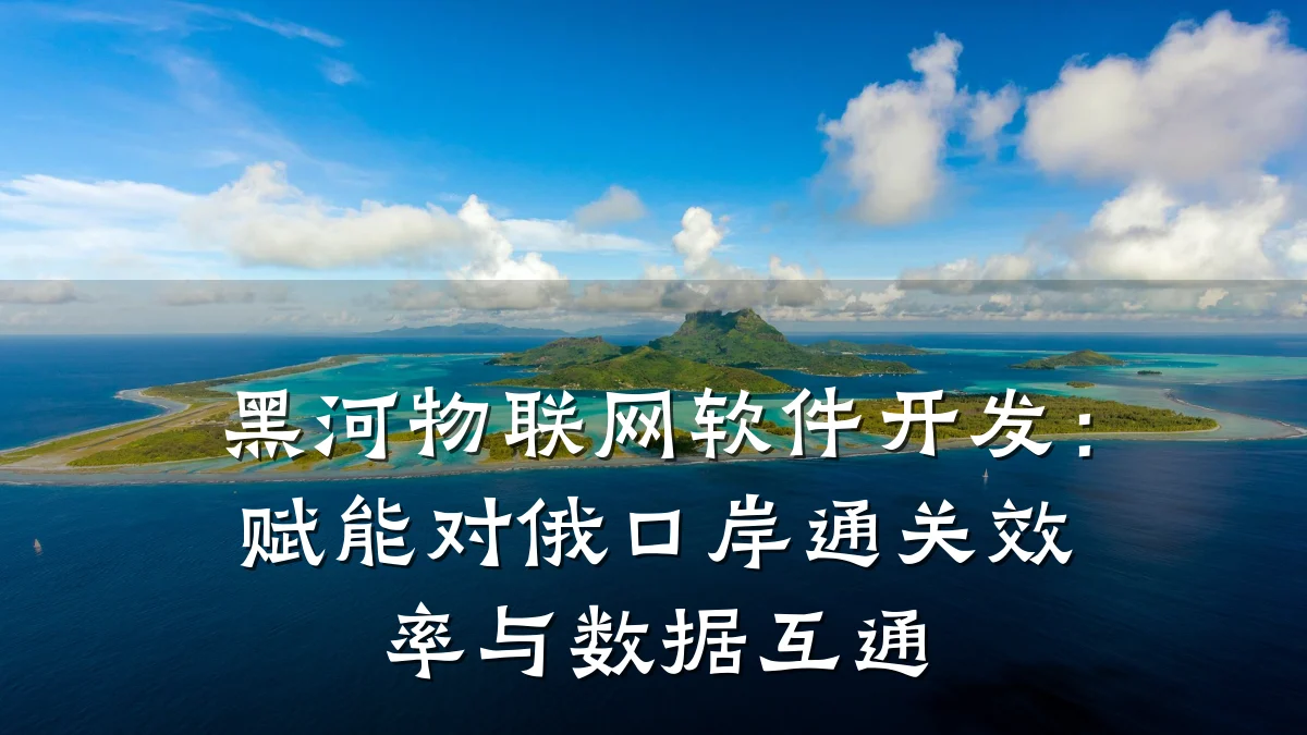 黑河物联网软件开发：赋能对俄口岸通关效率与数据互通