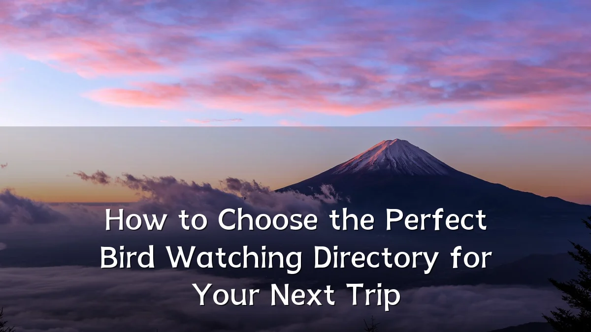 How to Choose the Perfect Bird Watching Directory for Your Next Trip