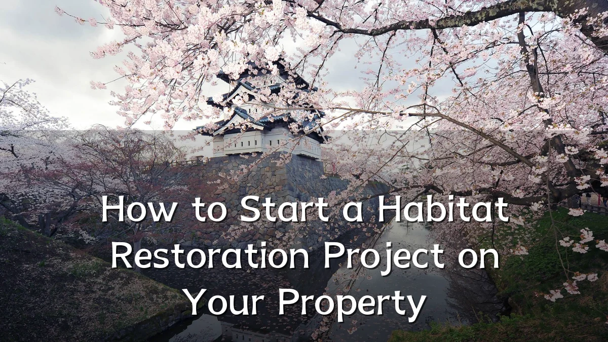 How to Start a Habitat Restoration Project on Your Property