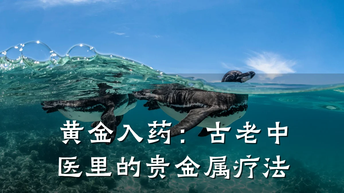 黄金入药:古老中医里的贵金属疗法