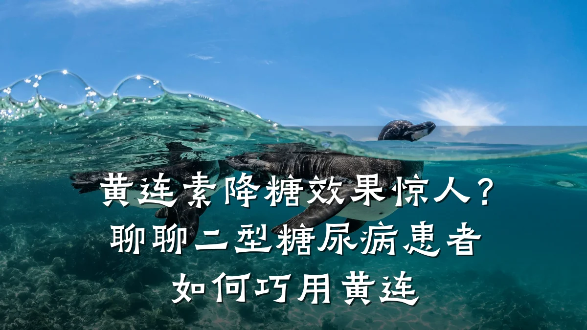 黄连素降糖效果惊人?聊聊二型糖尿病患者如何巧用黄连