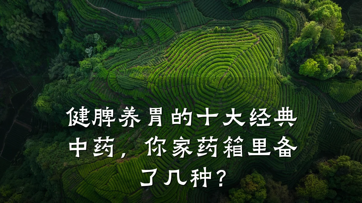 健脾养胃的十大经典中药，你家药箱里备了几种？