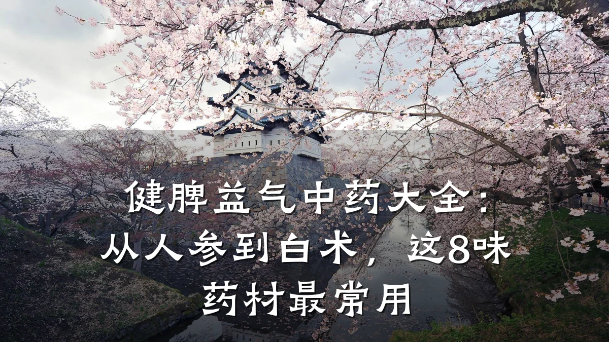 健脾益气中药大全:从人参到白术,这8味药材最常用