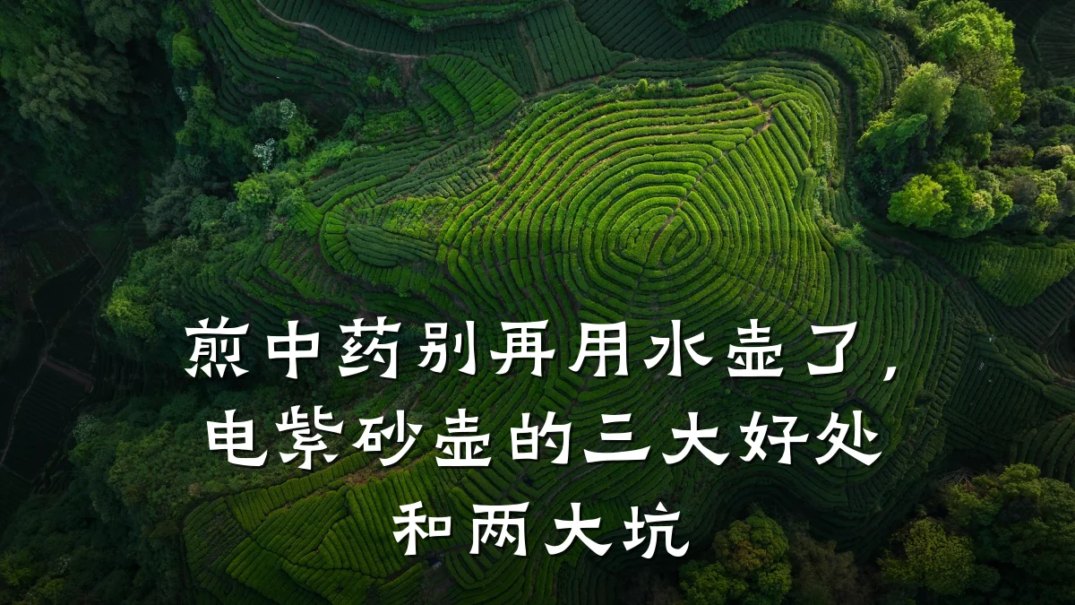 煎中药别再用水壶了，电紫砂壶的三大好处和两大坑