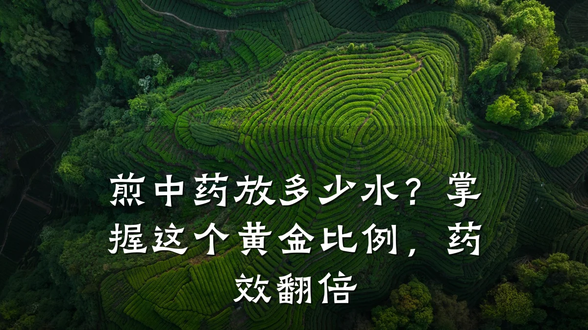 煎中药放多少水？掌握这个黄金比例，药效翻倍