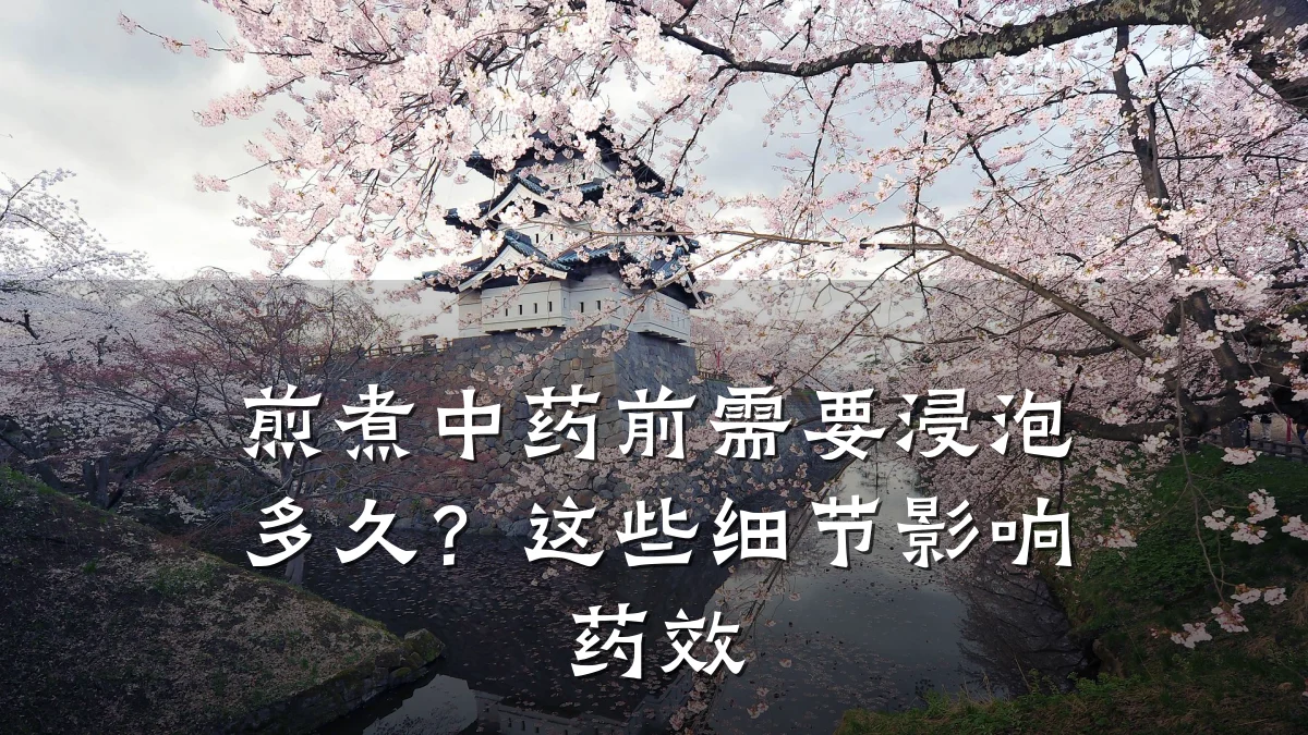 煎煮中药前需要浸泡多久？这些细节影响药效