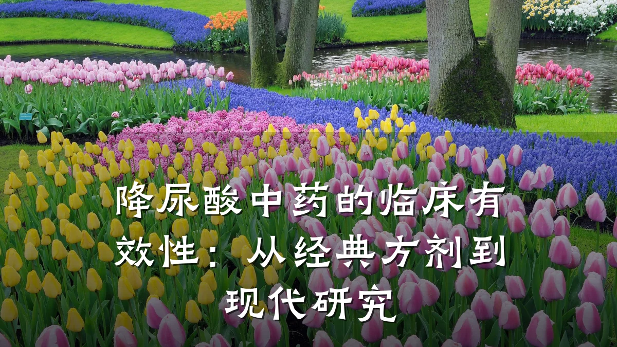 降尿酸中药的临床有效性:从经典方剂到现代研究