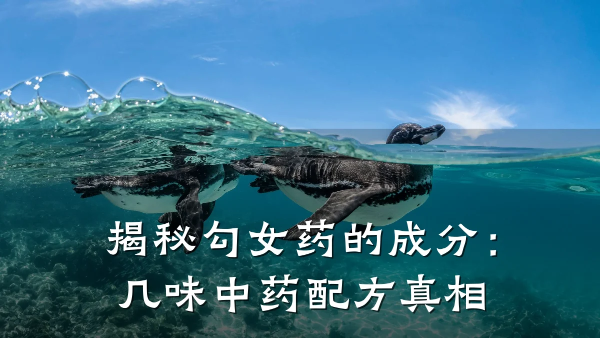 揭秘勾女药的成分:几味中药配方真相