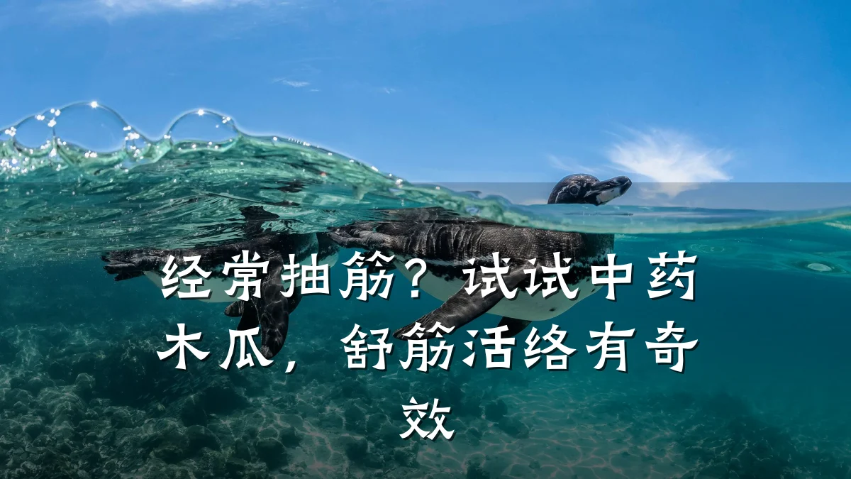 经常抽筋？试试中药木瓜，舒筋活络有奇效