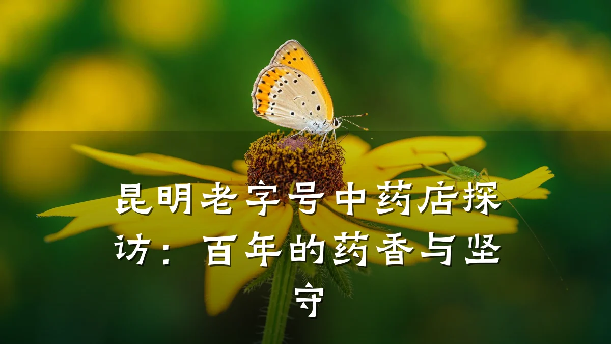 昆明老字号中药店探访：百年的药香与坚守