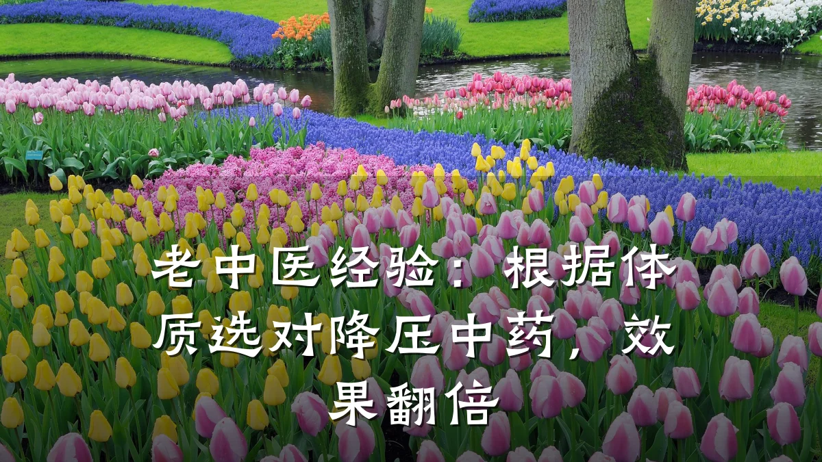 老中医经验:根据体质选对降压中药,效果翻倍