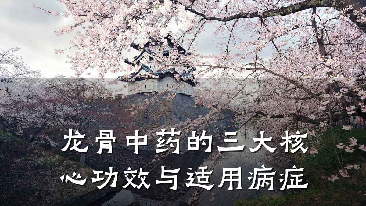 龙骨中药的三大核心功效与适用病症