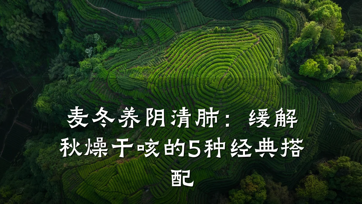 麦冬养阴清肺:缓解秋燥干咳的5种经典搭配