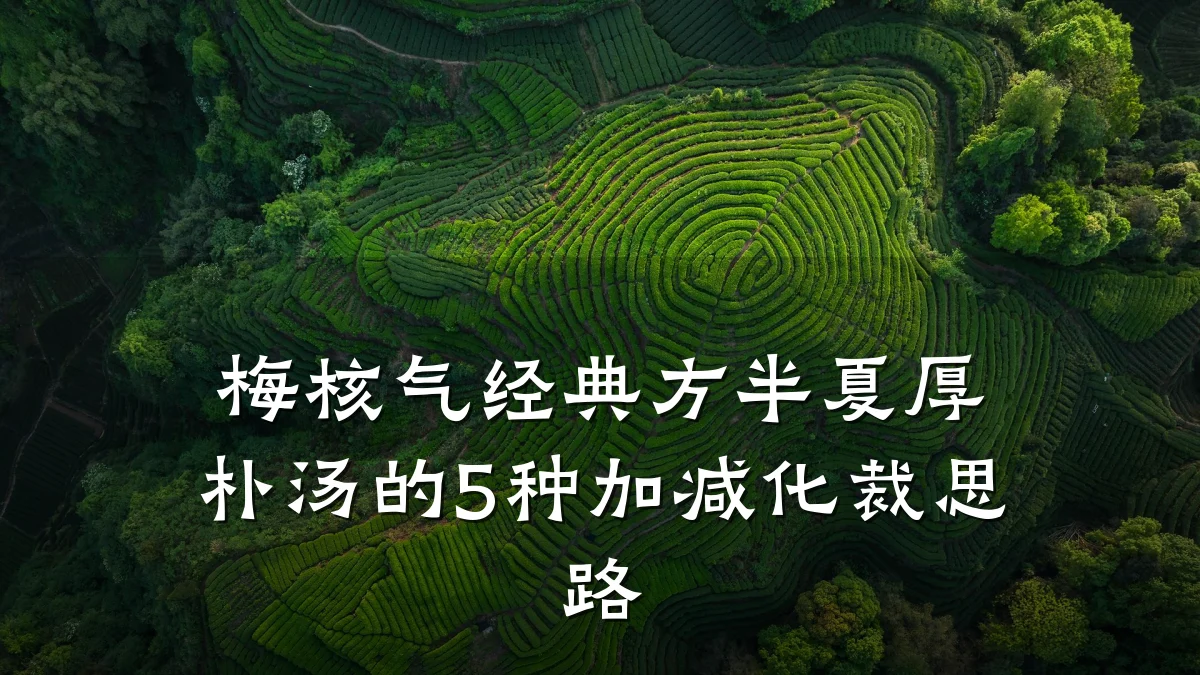 梅核气经典方半夏厚朴汤的5种加减化裁思路