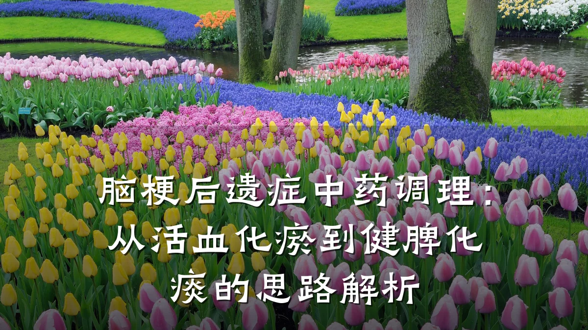 脑梗后遗症中药调理:从活血化瘀到健脾化痰的思路解析