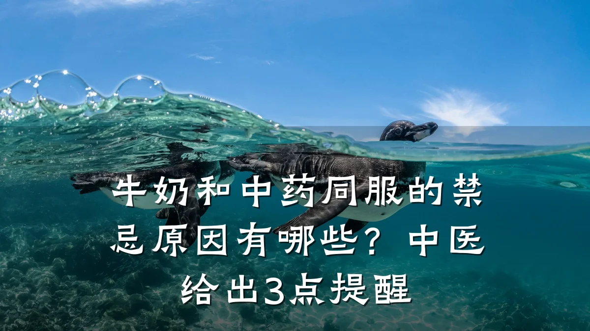 牛奶和中药同服的禁忌原因有哪些？中医给出3点提醒