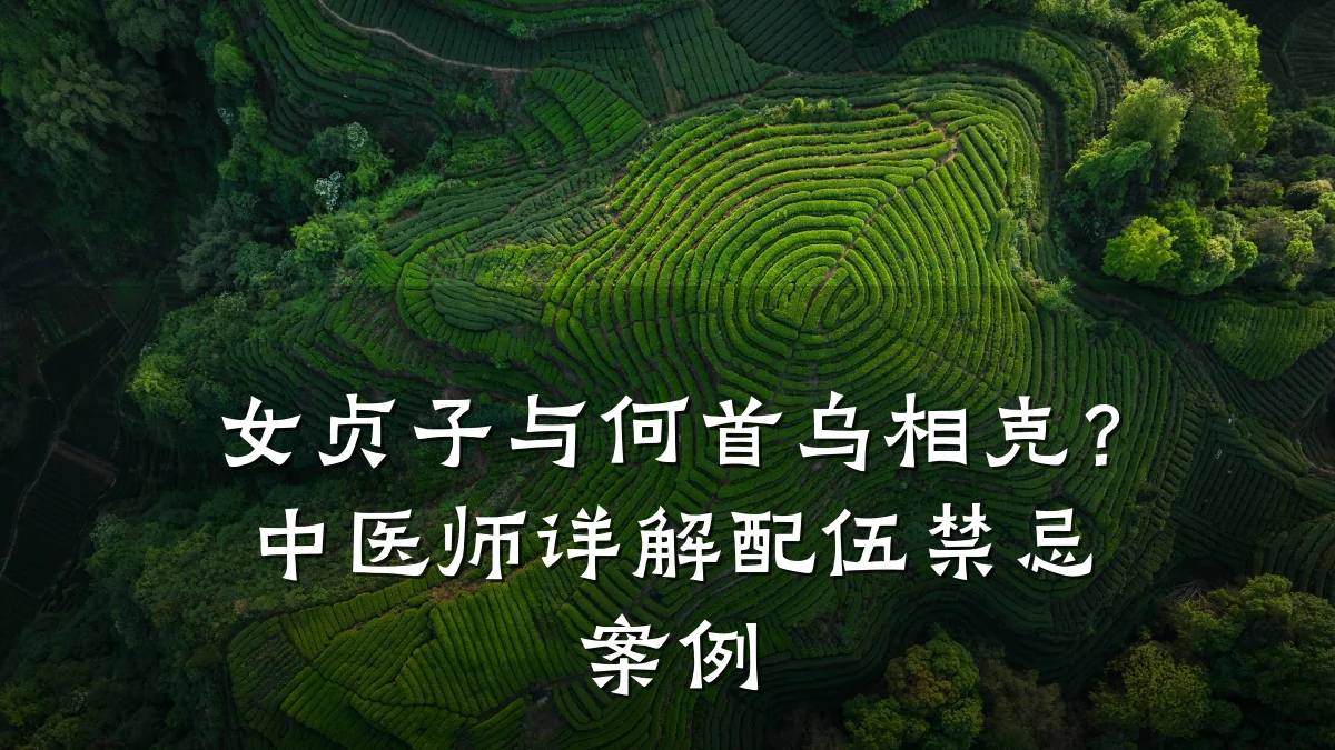 女贞子与何首乌相克？中医师详解配伍禁忌案例