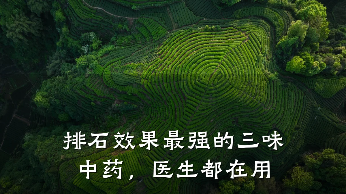 排石效果最强的三味中药,医生都在用