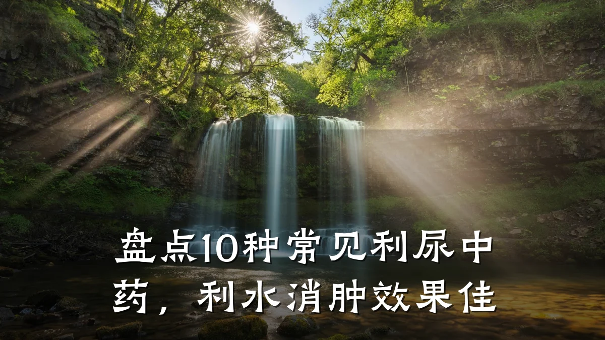 盘点10种常见利尿中药,利水消肿效果佳