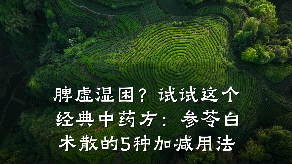 脾虚湿困?试试这个经典中药方:参苓白术散的5种加减用法