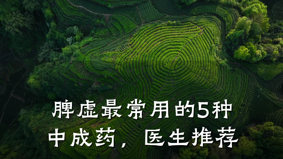 脾虚最常用的5种中成药,医生推荐
