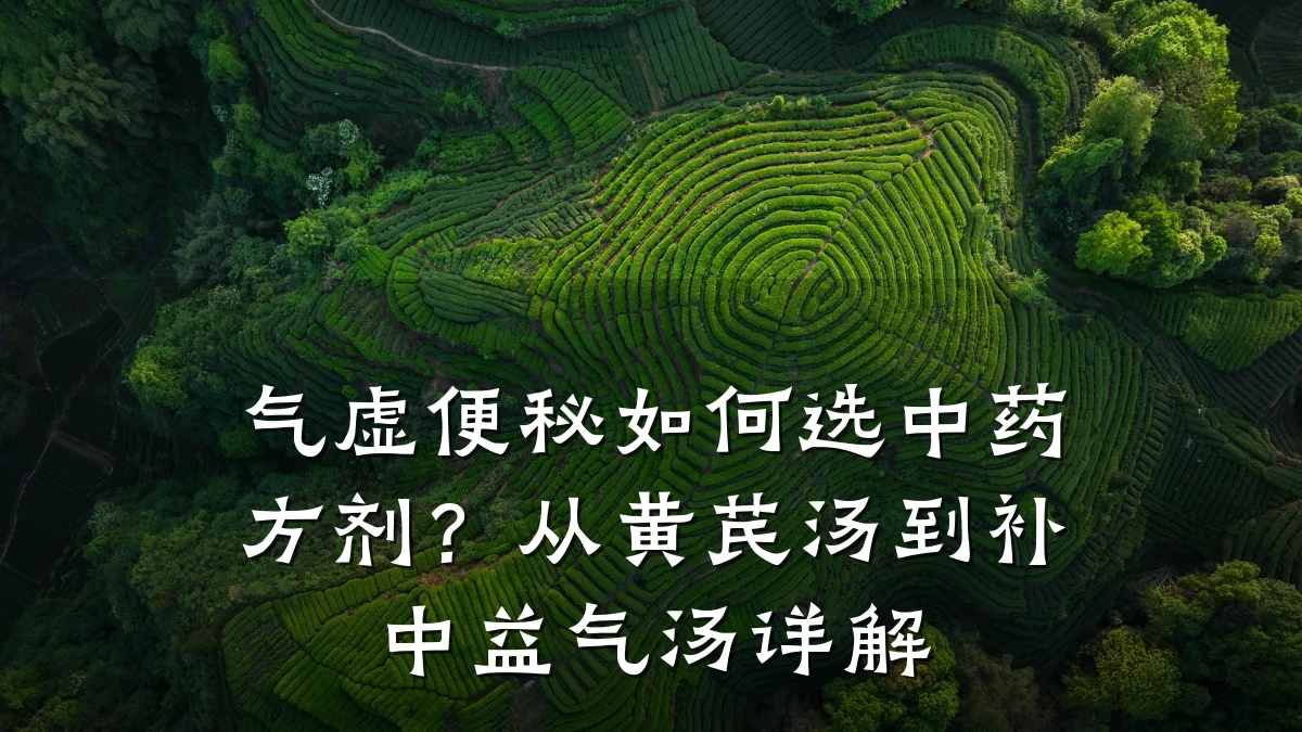 气虚便秘如何选中药方剂？从黄芪汤到补中益气汤详解