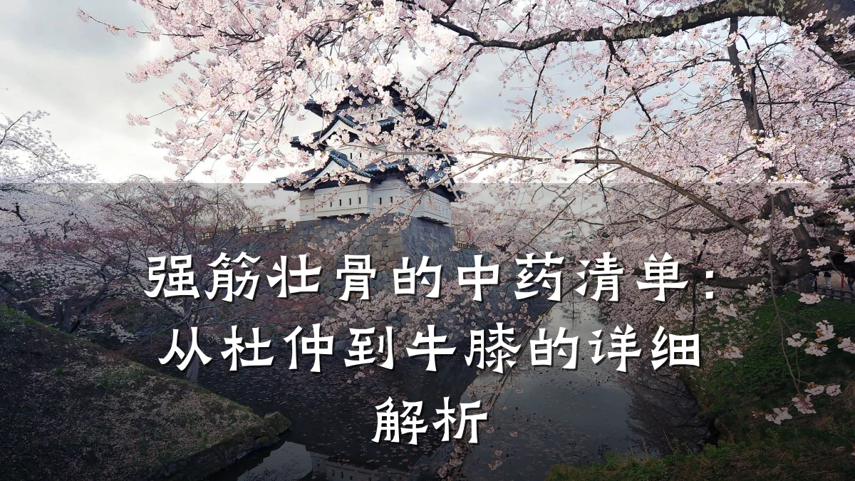 强筋壮骨的中药清单:从杜仲到牛膝的详细解析