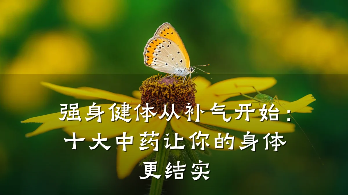 强身健体从补气开始:十大中药让你的身体更结实
