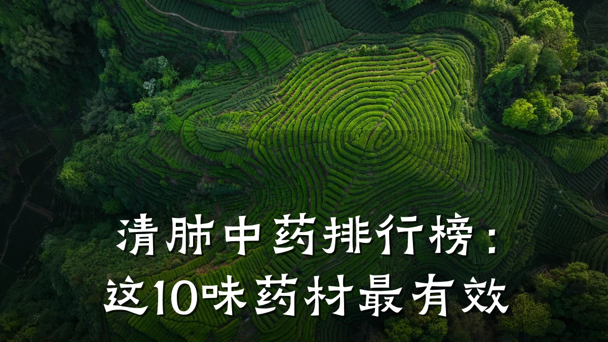 清肺中药排行榜：这10味药材最有效