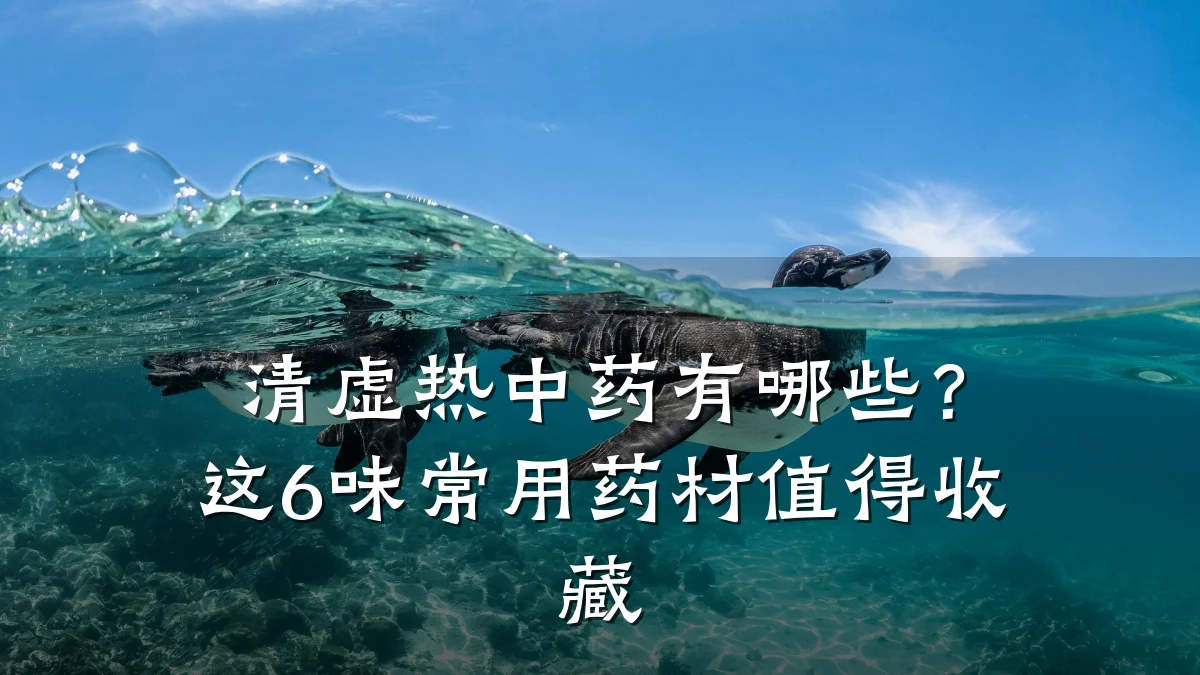 清虚热中药有哪些?这6味常用药材值得收藏
