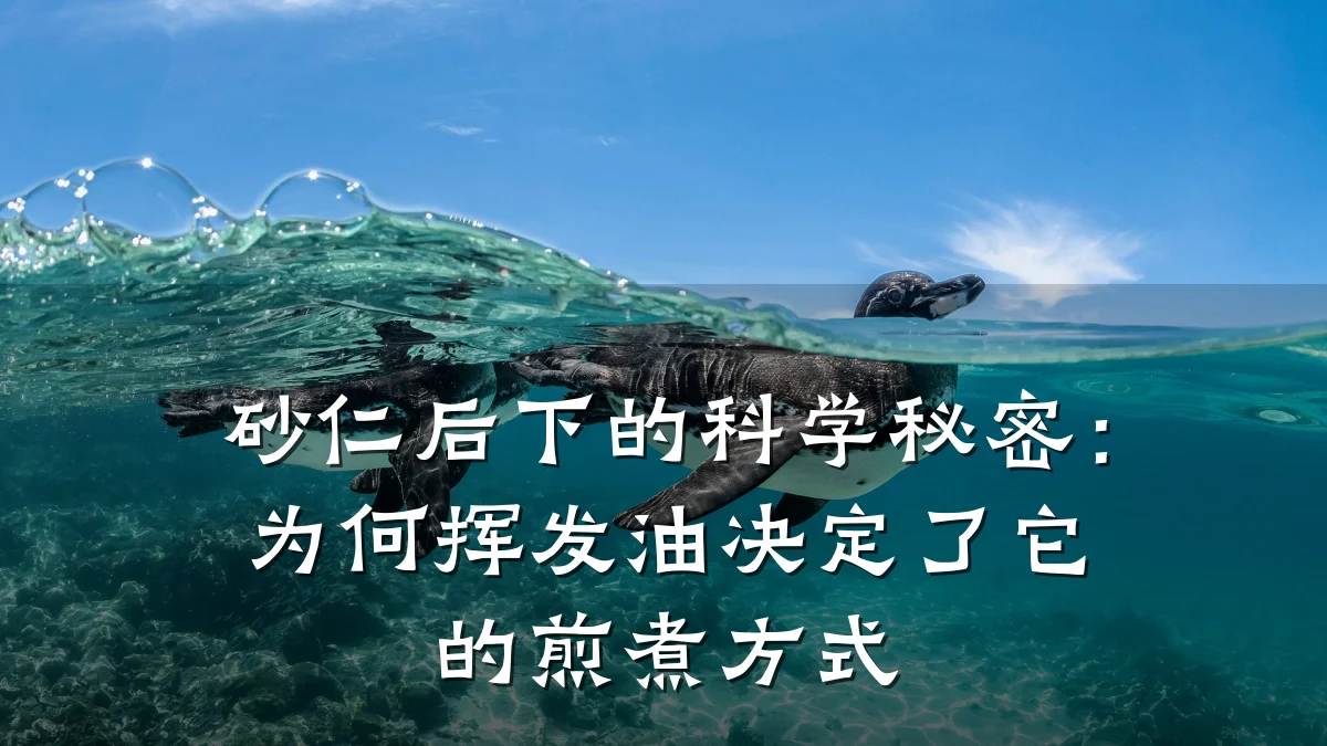 砂仁后下的科学秘密:为何挥发油决定了它的煎煮方式