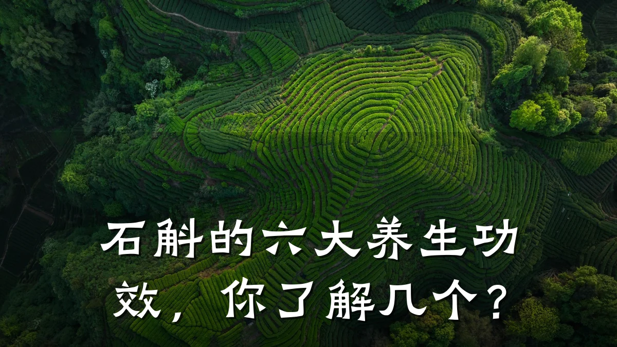 石斛的六大养生功效,你了解几个?