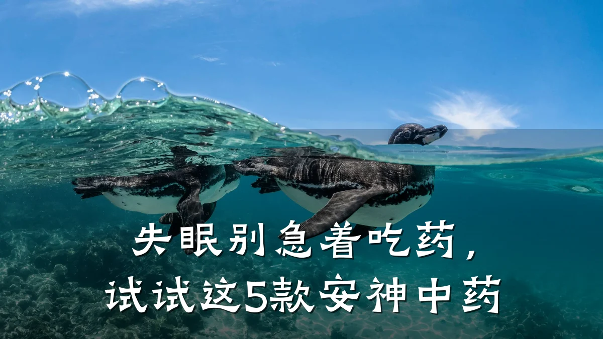 失眠别急着吃药,试试这5款安神中药