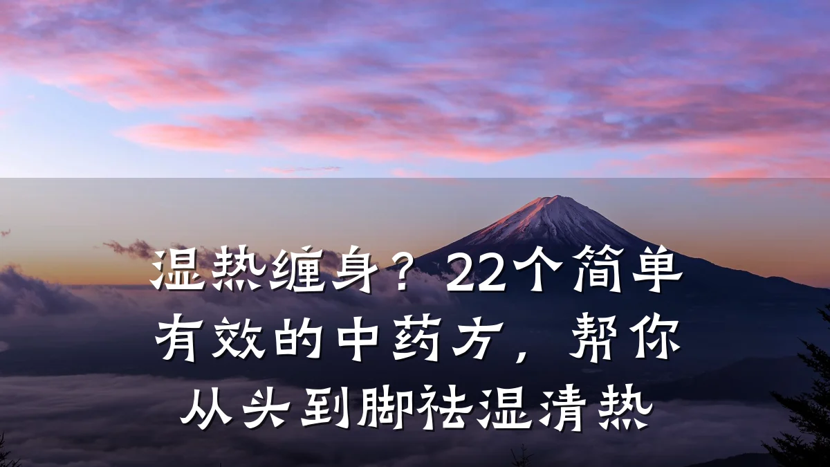 湿热缠身?22个简单有效的中药方,帮你从头到脚祛湿清热