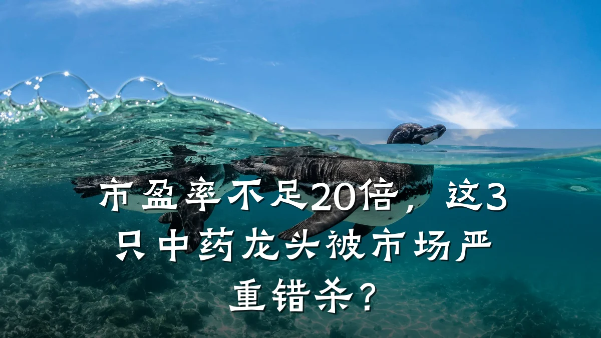 市盈率不足20倍，这3只中药龙头被市场严重错杀？